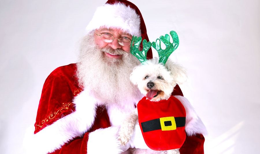 Pet Pictures with Santa